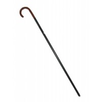 Leuke zwarte wandelstok  Charlie Chaplin plastic