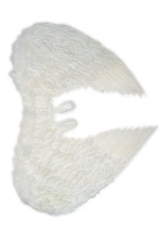 Witte veren engelenvleugel 60X75cm