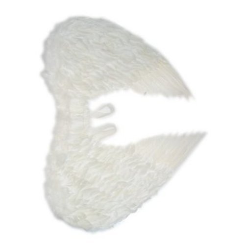 Leuke witte veren engelenvleugel 60X75cm