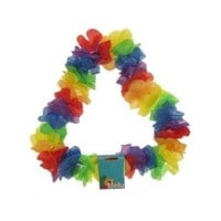 Mooie regenboog Hawaii slinger