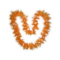 Mooie oranje hawaii slinber