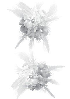 Witte bloem met veertjes