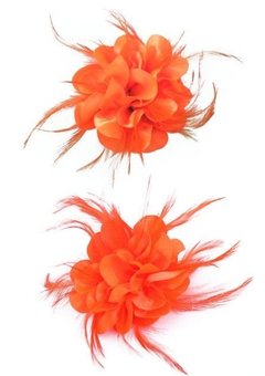 Oranje bloem met veertjes