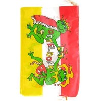 Mooie vlaggenlijn Oeteldonk van 10mtr