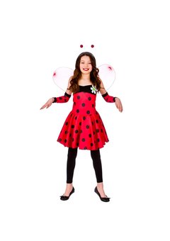 Lieveheersbeestje kostuum Maxime