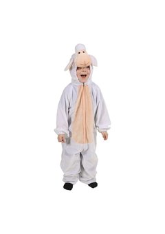 Schapen pak Lizze