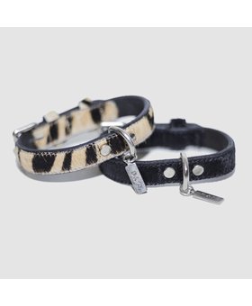 Hundehalsband