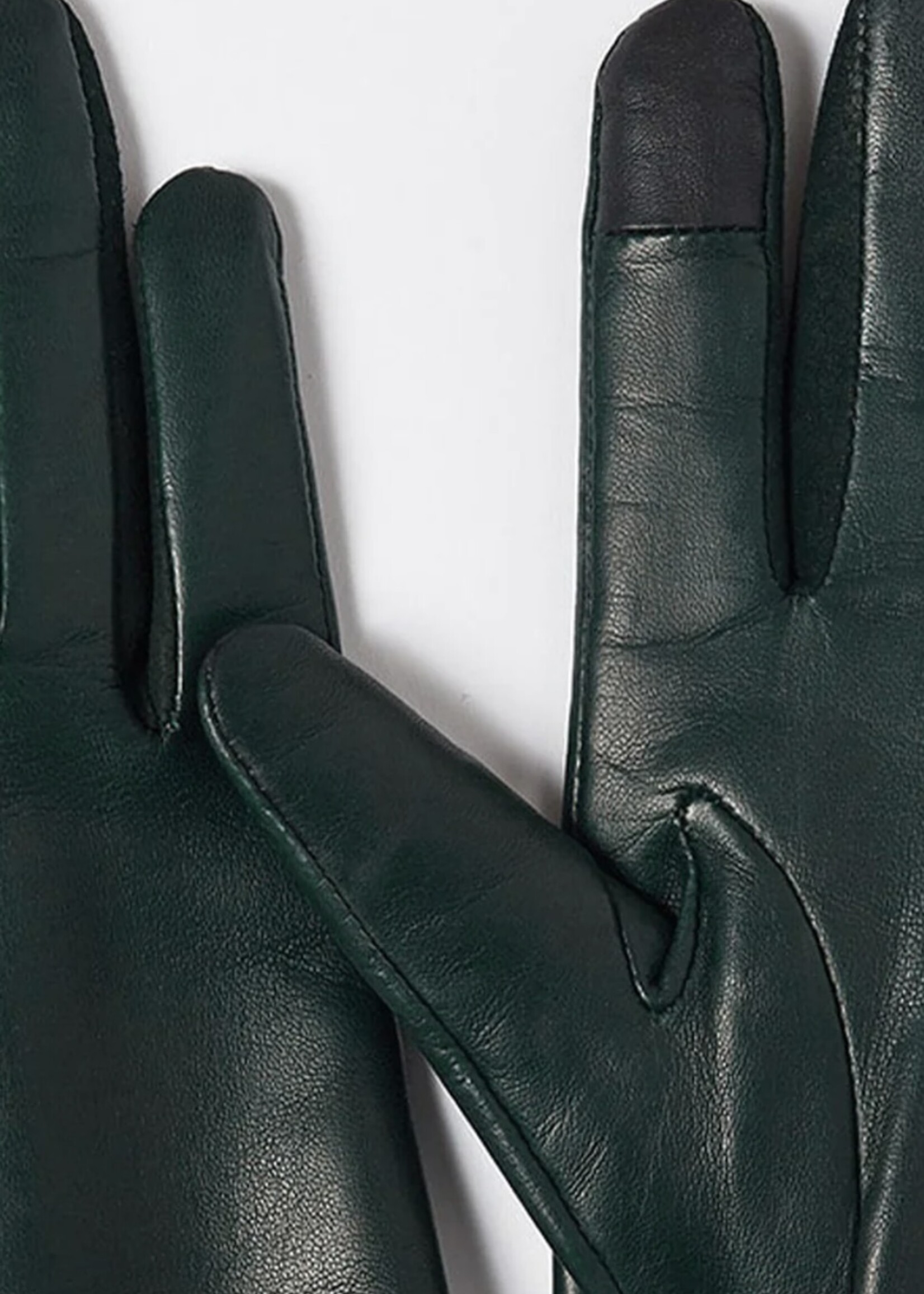 Handsome Essentials long agave