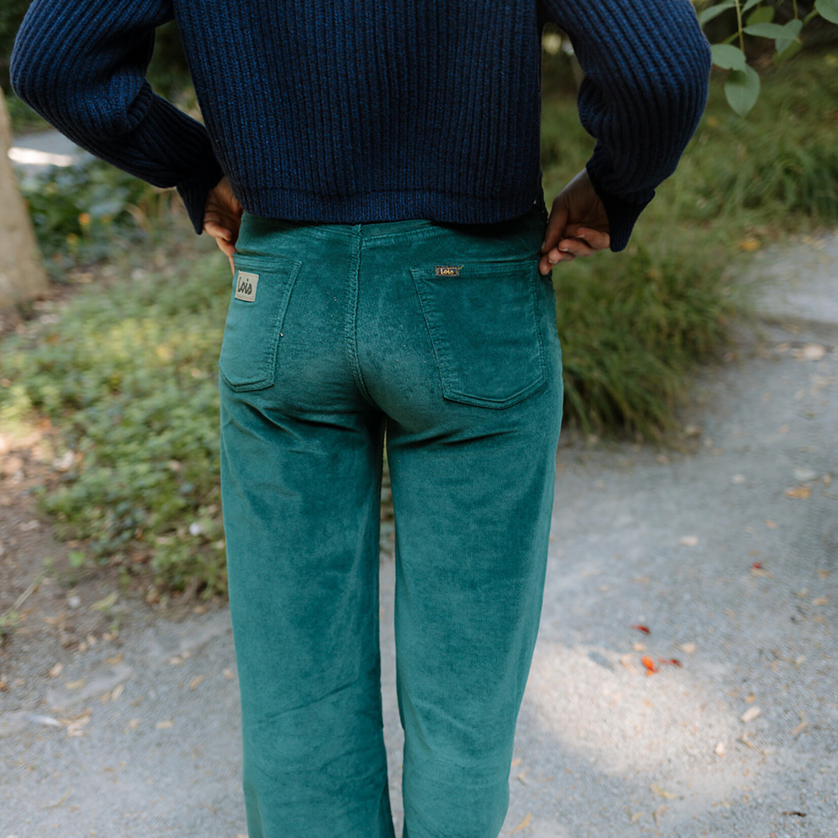 Lois Rosa shini micro aventunne