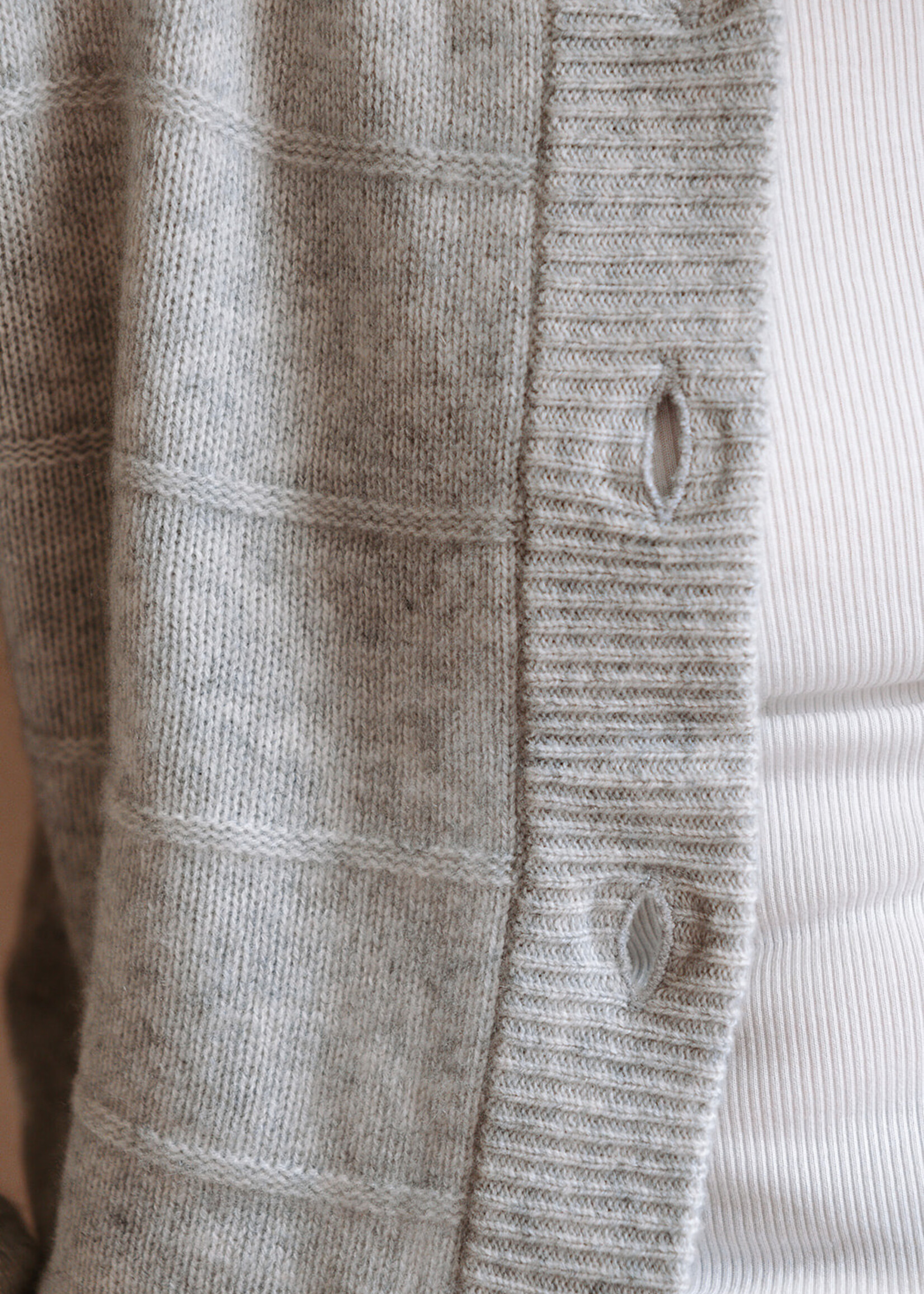 Absolut cashmere Cardigan Margherita (Light Grey)