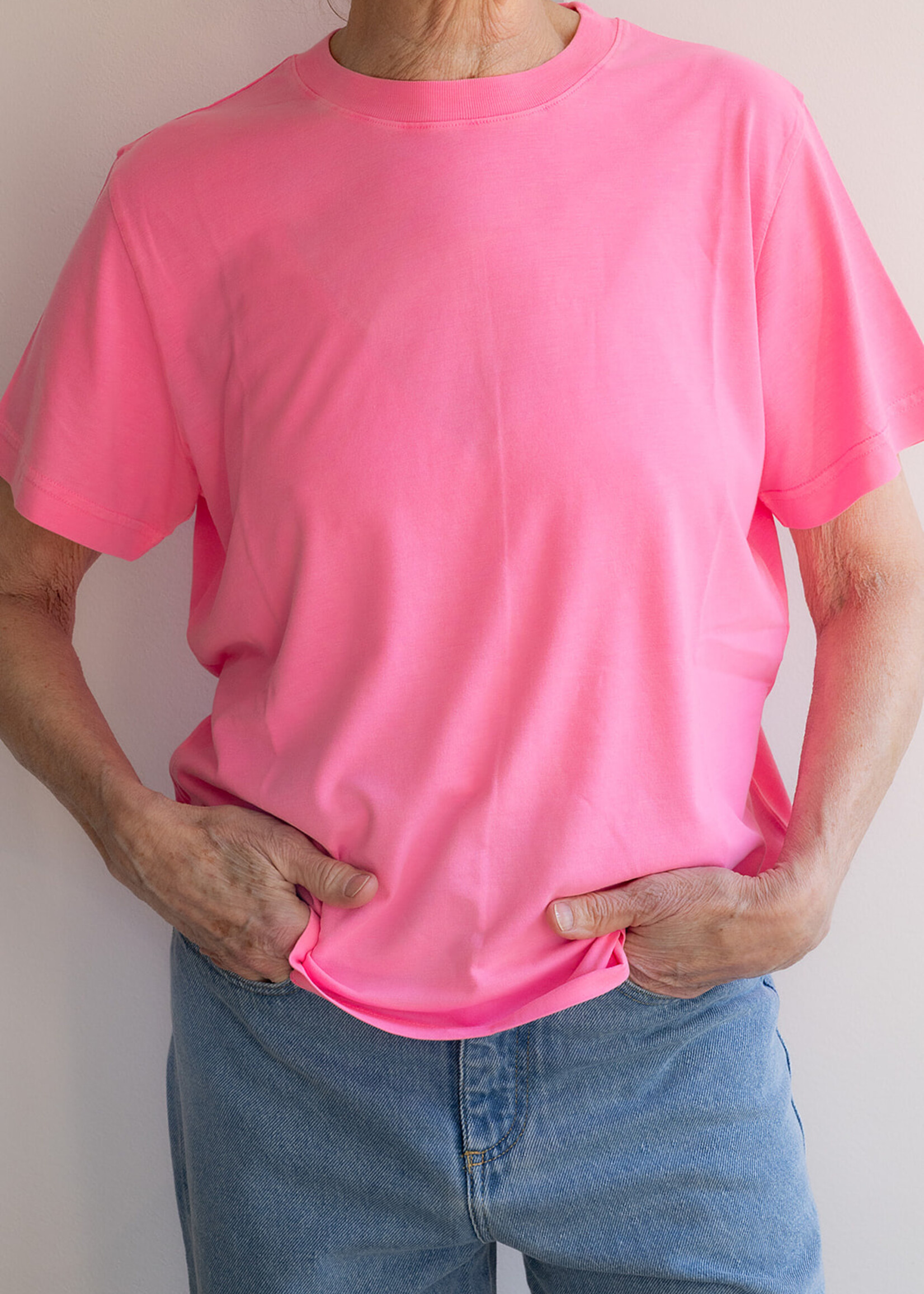 Absolut cashmere Nina t-shirt white real pink