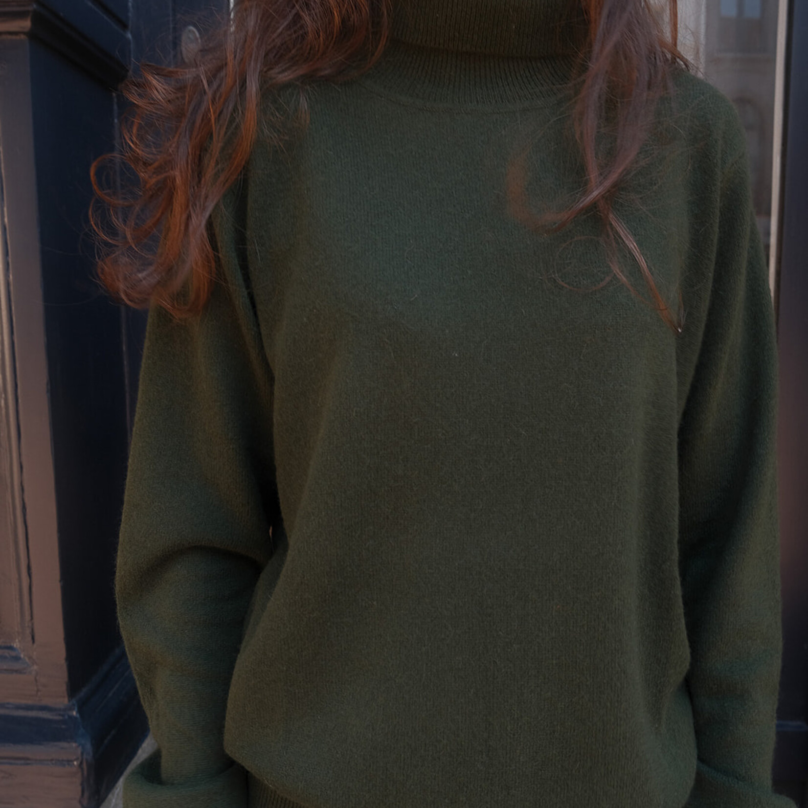 Absolut cashmere Themys turtleneck sweater