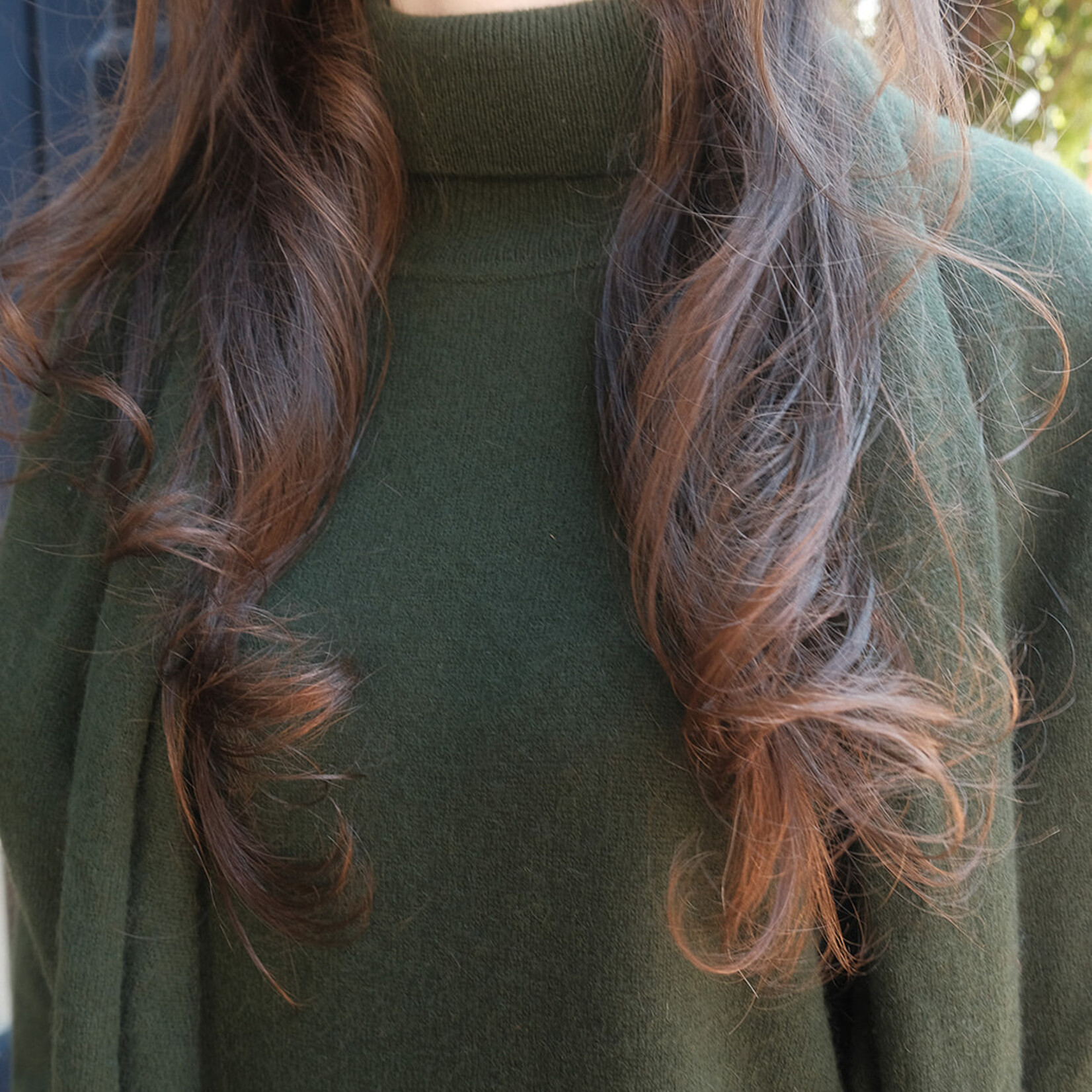 Absolut cashmere Themys turtleneck sweater