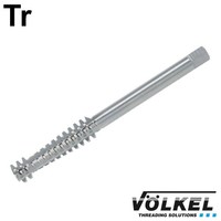 Handtap eindsnijder, HSS-G, Tr 16 x 4