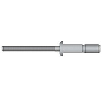 Structurele popnagels type P 6.4 x 14.0mm - RVS A2/RVS A2 - bolkop - klembereik: 2.0 - 9.5mm - 250 stuks