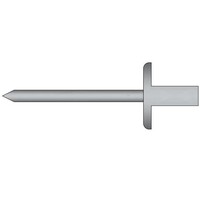 Gas- en vloeistofdichte popnagels 4.8 x 12.0mm - RVS A2/RVS C1 - grote bolkop - klembereik: 4.5 - 6.0mm - 250 stuks
