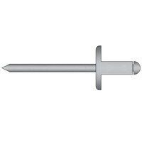 Popnagels 4.8 x 14.0mm - extra grote bolkop - Staal/Staal - klembereik: 7.0 - 9.0mm - 250 stuks