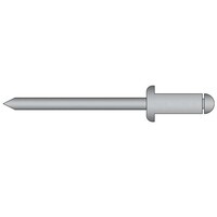 Popnagels 4.8 x 12.0mm - bolkop - RVS A2/RVS A2 - klembereik: 6.0 - 8.0mm - 500 stuks