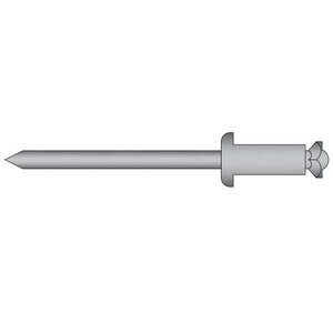 Rivex Fasteners Rozet popnagels 4.0 x 12.0mm - RVS A2/RVS A2 - bolkop - klembereik: 3.0 - 6.0mm - 500 stuks