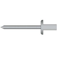 Gas- en vloeistofdichte popnagels 4.8 x 8.0mm - RVS A2/RVS C1 - grote bolkop - klembereik: 1.0 - 3.0mm - 250 stuks