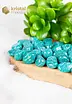 Amazonite EX Tumbled Stones - size S