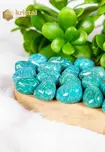 Amazonite EX Tumbled Stones - size M