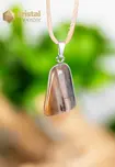 Petrified Wood pendant with silver loop - no. 1