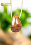 Petrified Wood pendant, drilled - no. 2