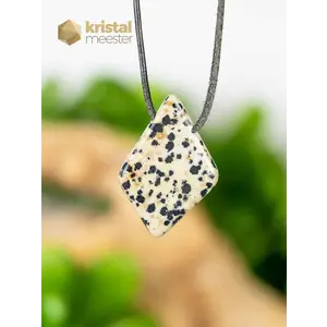 Dalmatian Jasper EX pendant, drilled - no. 4