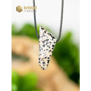 Dalmatian Jasper EX pendant, drilled - no. 3