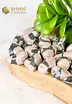 Porphyry Jasper Tumbled Stones - size M