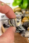 Zebra Jasper Tumbled Stones