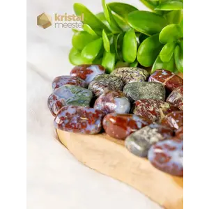 Moss Agate Red Lightning Tumbled Stones