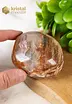 Petrified Wood palmstone - no.1