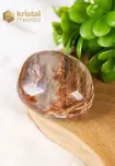 Petrified Wood palmstone - no.1