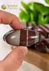 Shiva Lingam polished - size M