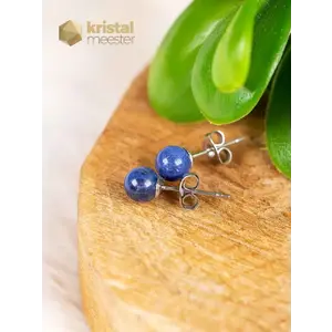 Sodalite Earrings - 6 mm