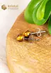 Tiger Eye Earrings - 6 mm