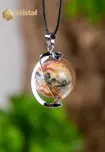 Crazy Lace Agate Spiral Pendant