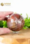 Petrified Wood Sphere - 7.1 cm - no. 1