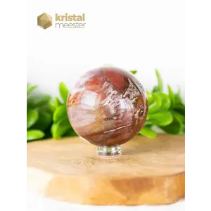 Petrified Wood Sphere - 7.1 cm - no. 1
