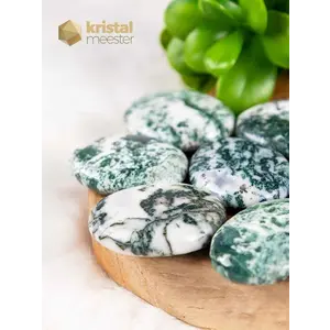 Tree Agate Pocketstones - size M