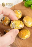 Bumble Bee Jasper Tumbled Stones - size M