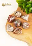 Laguna Lace Agate Tumbled Stones - size M