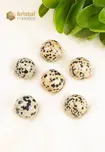 Dalmatian Jasper Sphere - 20 mm