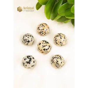 Dalmatian Jasper Sphere - 20 mm