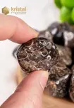 Turritella Agate Tumbled Stones - size S