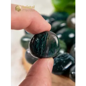 Moss Agate Tumbled Stones - size M