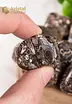 Turritella Agate Tumbled Stones - size M