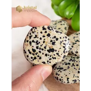 Dalmatian Jasper Pocket Stones